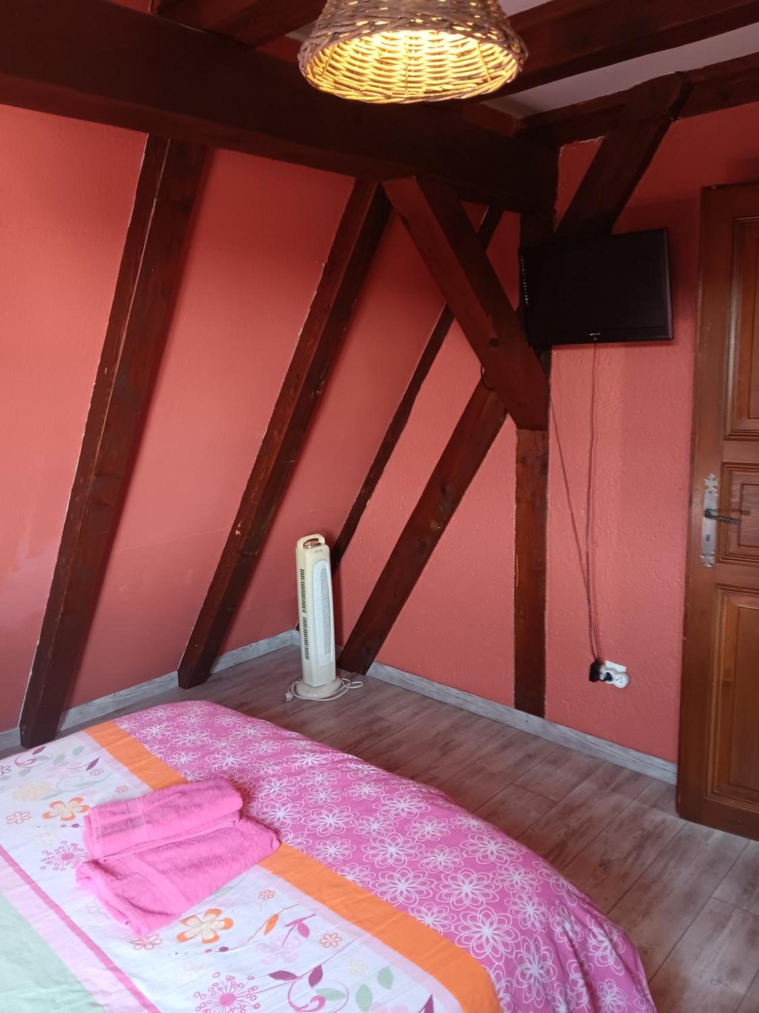 Gite Les Papillons Ribeauvillé Værelse billede